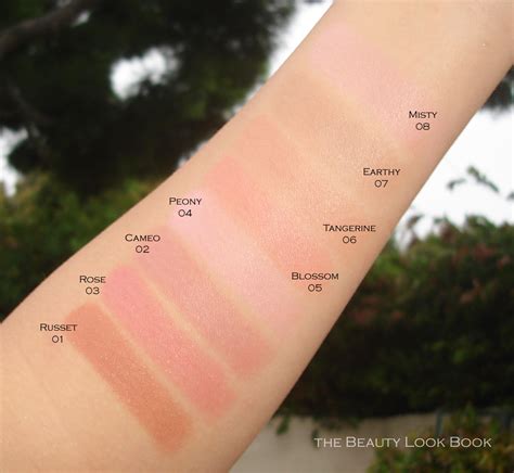 Burberry Russet (01) Light Glow Natural Blush Swatches 